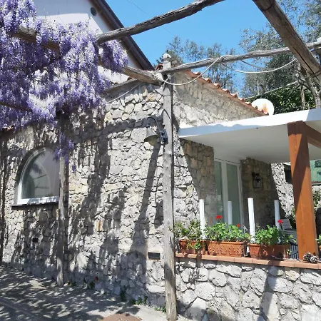 Appartement Shedir