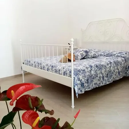 Shedir * Вико-Экуенсе