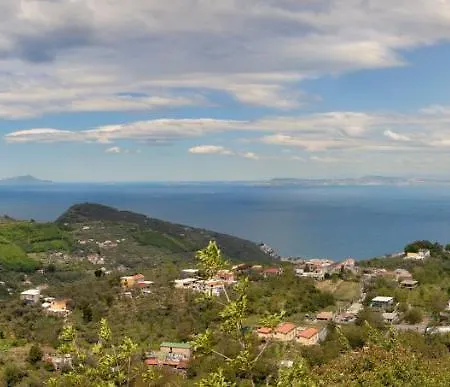 Shedir Апартаменты